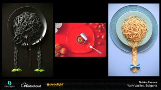 Асоциацията на професионалните фотографи (АПФ)